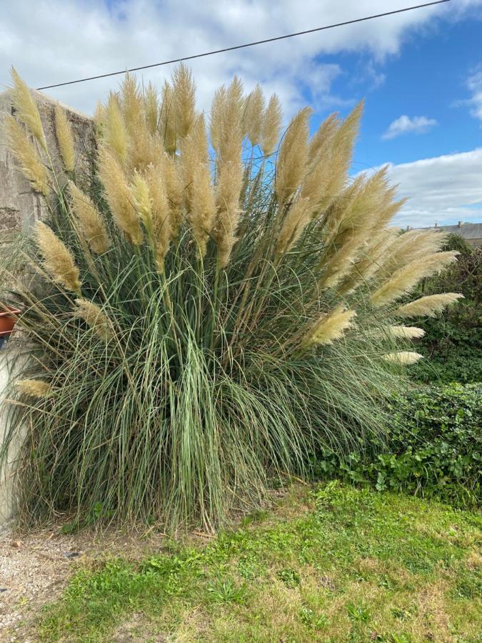 Gite Du Bois Pennier, Au Calme , A 15 Km Des Plages Du Debarquement Picauville Dış mekan fotoğraf